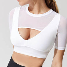 Load image into Gallery viewer, Seamless Sports Bra - OneWorldDeals
